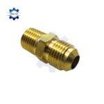 noi ren ngoai la ong dong