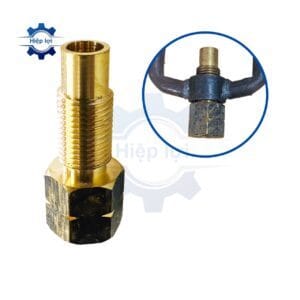 cao da ren trong gan dong ho da