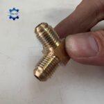 co hai dau la ong dong