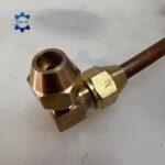 co hai dau la ong dong