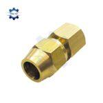 noi ren trong la ong dong