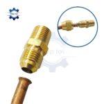 noi ren ngoai la ong dong