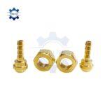 noi duoi chuot ren nhat