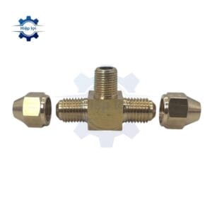 te ren ngoai giua hai dau la ong dong