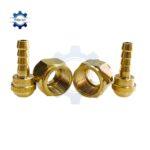 noi duoi chuot ren nhat