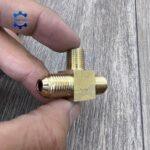 te ren ngoai giua hai dau la ong dong