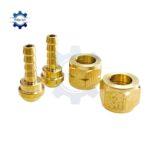 noi duoi chuot ren nhat