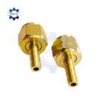 noi duoi chuot ren my