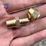 noi ren ngoai la ong dong