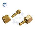 noi duoi chuot ren my