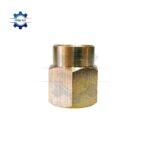 noi ren 22 day rua xe