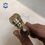 rac co so te song sat 7 mau