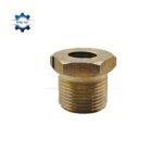 noi ren 22 day rua xe