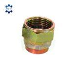 dau bit rac co thuy luc -rac co so bit song trong