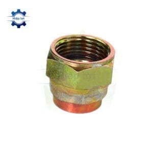 dau bit rac co thuy luc -rac co so bit song trong