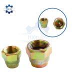 dau bit rac co thuy luc -rac co so bit song trong