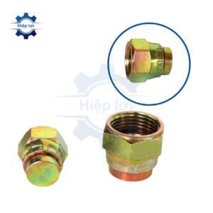 dau bit rac co thuy luc -rac co so bit song trong