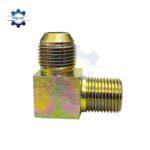 co noi ren ngoai sat thuy luc mot dau con