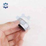 bit ren trong sat kem