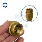 van 1 chieu lo xo dong viet nam