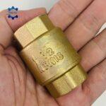 van 1 chieu lo xo dong viet nam