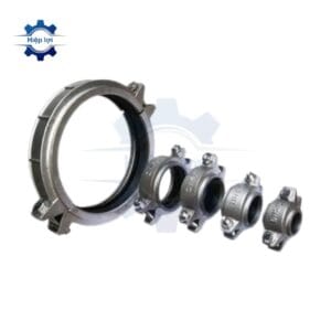khop noi nhanh inox vi sinh co ranh