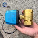 van bi dien thau bve 2 day thuong dong