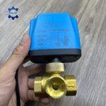 van bi dien thau bve 3 nga - thuong dong