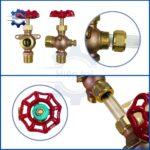 van khoa ong thuy dong