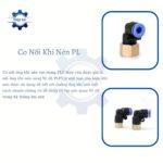 co noi khi nen ren trong plf
