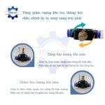 van chinh luu 2 dau ong khi nen sa