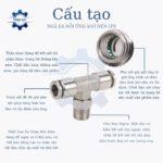 nga ba noi ong khi nen ren ngoai giua ipb