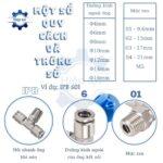 nga ba noi ong khi nen ren ngoai giua ipb