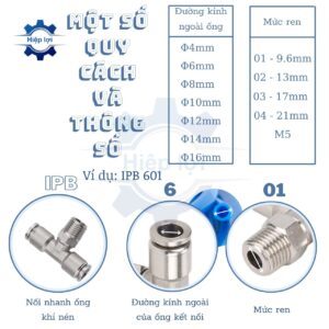 nga ba noi ong khi nen ren ngoai giua ipb