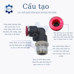 co noi ong khi nen ren ngoai do RPL