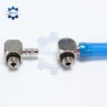 co duoi chuot ren ngoai dcpl