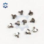 co duoi chuot ren ngoai dcpl