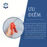 sung xit hoi nhua dai loan thb