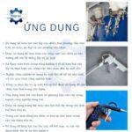 sung xit hoi kieu nhat