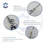 sung xit hoi kieu my