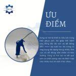 sung xit hoi nhua xanh